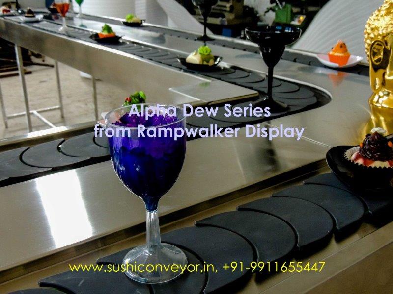 Rampwalker Conveyor Manufacturer in India